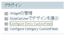 Custom FieldsでMTにGoogle Mapを