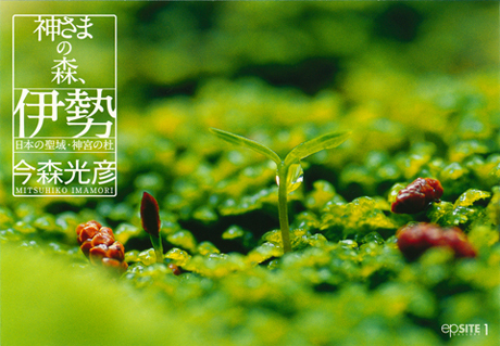 神さまの森、伊勢 日本の聖域・神宮の杜