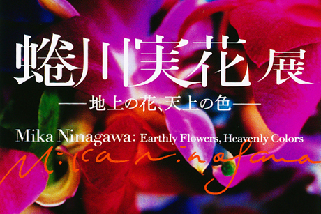 蜷川実花展 - 地上の花、天上の色 -