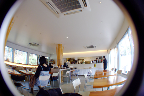 cafe 茶洒 kanetanaka