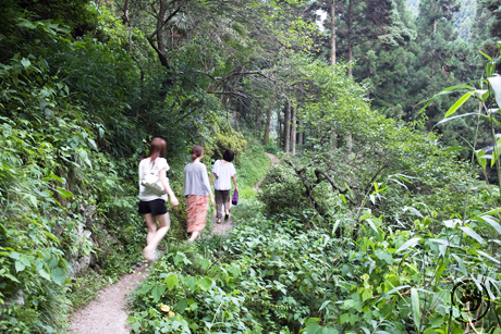 秩父華厳の滝