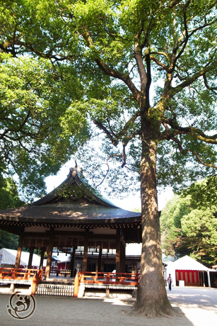 大宮 氷川神社