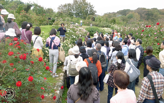 京成バラ園　てんちょのガーデンツアー　人がいっぱい！