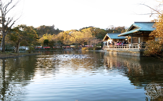 鎌倉 鶴岡八幡宮